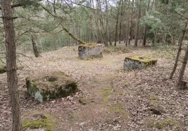 Lom Dunajovická hora - zbytky z rozhledny