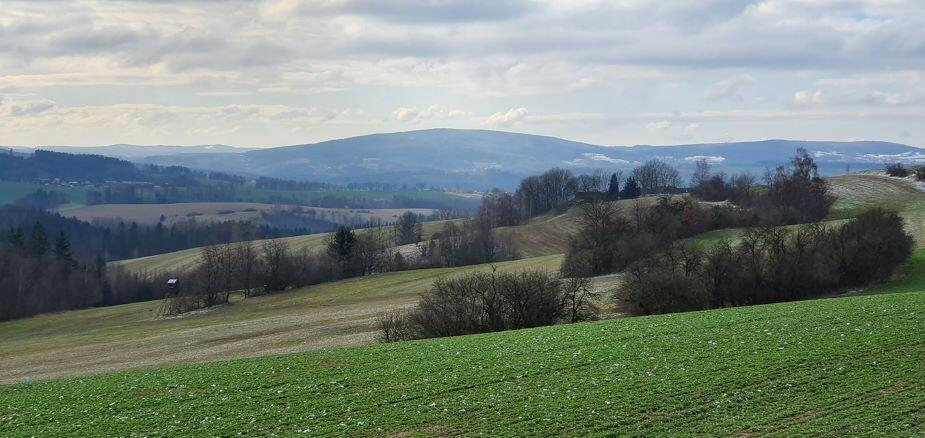 Vrch Melechov (foto Bohuslav Vtípil)