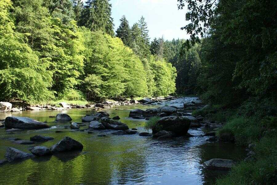 Přírodní rezervace Stvořidla (foto město Světlá nad Sázavou)