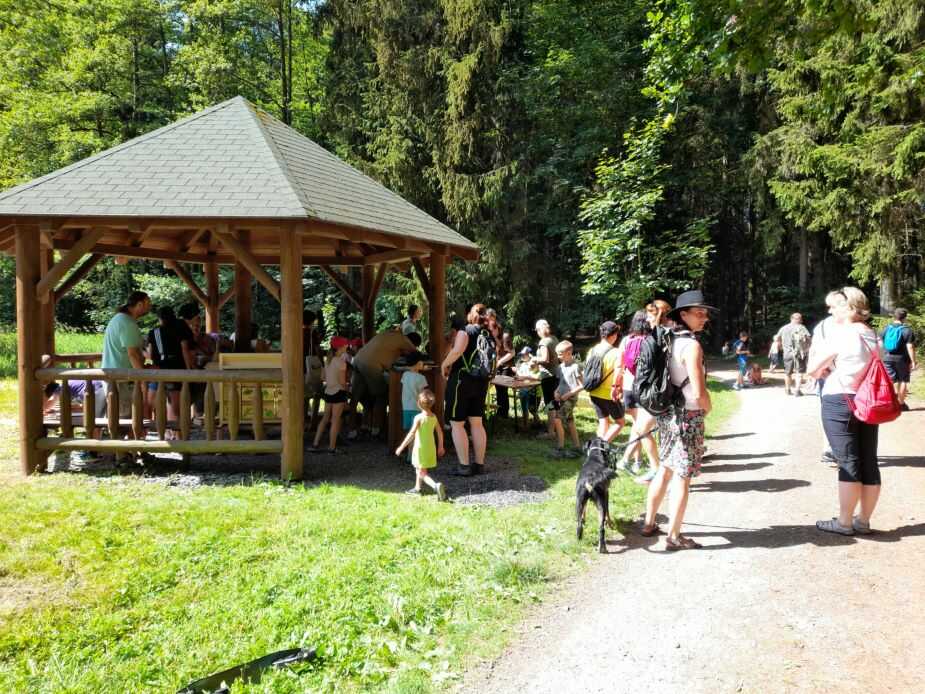 Přírodní park Zelenov - altán u rybníka Radostov (foto Domažlické městské lesy spol. s r. o.)